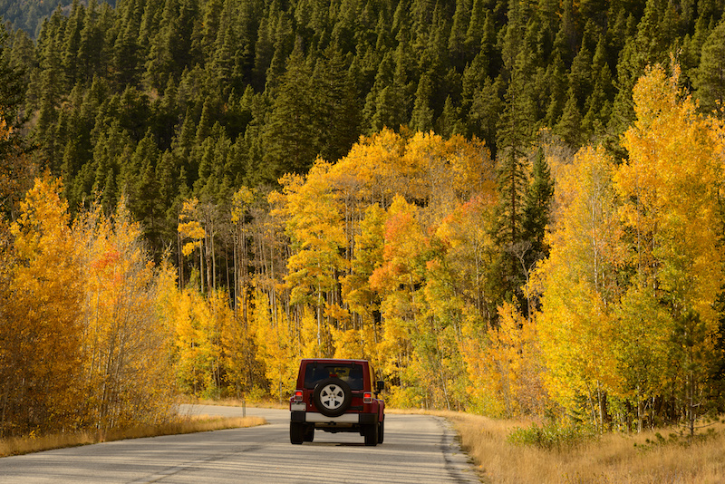 Car driving through gold Aspens in Colorado