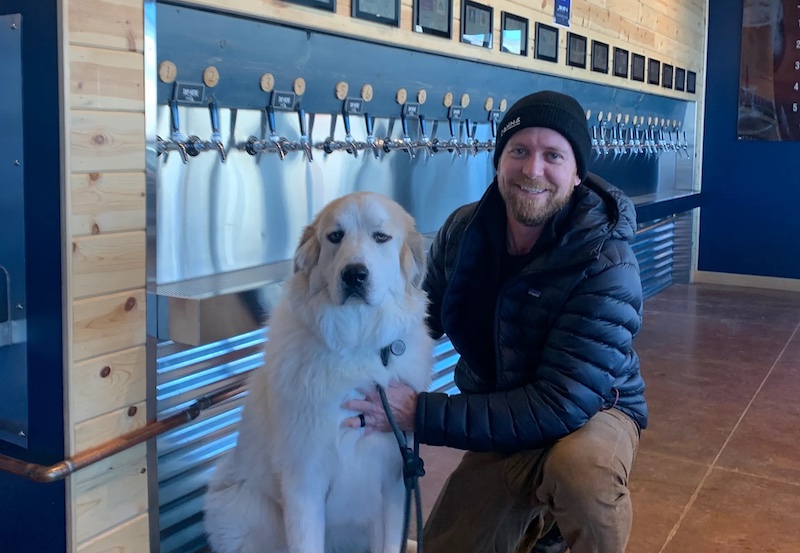 Dog at Thirsty Pika Brewery in Silverthorne